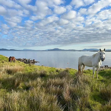 Dom wakacyjny Brentwood